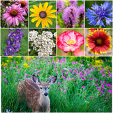 Seed Needs deer resistant wildflower seed mix packaging, compact and easy to store.