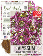 Seed Needs Dwarf Pink Alyssum seed packet illustration for easy planting guidance.