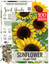 Seed Needs Dwarf Sunflower seed pack front, ready for sunny garden planting.