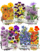 Seed Needs edible wildflower packet front illustration showing seven varieties for garden color