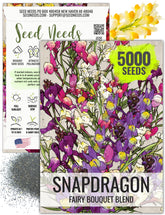 Seed Needs Fairy Bouquet Snapdragon seeds pack front shows heirloom blend for pollinator gardens.