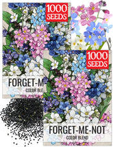 Seed Needs Forget Me Not seeds packaging ready for planting in your garden.