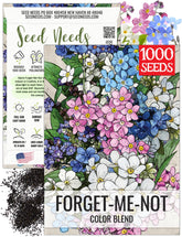 Seed Needs Forget-Me-Not seeds packet front with heirloom art, ideal for pollinator borders