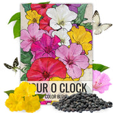Seed Needs Four O' Clock seeds packaging with art and sowing guide