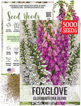 Seed Needs foxglove seeds packet with artwork, designed for long freshness.