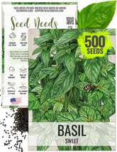 Seed Needs Genovese basil leaf closeup, vibrant green leaves ideal for fresh pesto and salads.