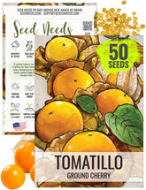 Seed Needs Ground Cherry Tomatillo seeds in a compact pack for easy planting.
