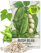 Seed Needs Henderson Lima beans in early harvest pods on a healthy plant