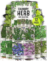 Seed Needs herb seeds variety pack front cover for easy indoor gardening.