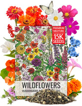 Seed Needs hummingbird and butterfly seed mix pack boosts vibrant pollinator-friendly blooms