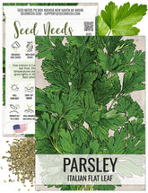 Seed Needs Italian flat leaf parsley seed packet front, open-pollinated heirloom for fresh flavor.