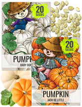 Seed Needs Jack Be Little pumpkin seeds packaging with sowing tips for easy planting