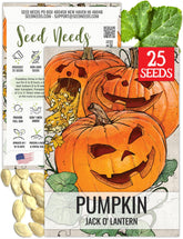 Seed Needs jack o' lantern pumpkin seeds packet front for easy planting