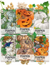 Seed Needs jack o' lantern pumpkins for carving and Halloween decor