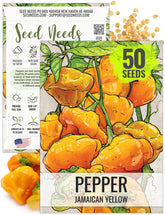 Seed Needs Jamaican Yellow Chile seed pack front for planning a warm-season garden.