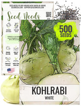 Seed Needs Kohlrabi bulb closeup showing crisp white flesh for fresh salads