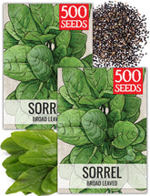 Seed Needs large leaf sorrel seed packet illustration, ideal for fresh home salads