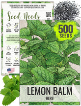 Seed Needs lemon balm seeds packet art highlighting heirloom quality and sowing guidance