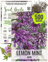 Seed Needs Lemon Mint seeds pack front for easy garden start