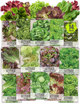 Seed Needs lettuce seed packets close-up showing variety labels for easy planning.