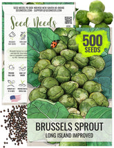 Seed Needs Long Island Brussels sprouts seed packet front highlighting heirloom variety for reliable harvests.