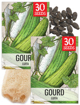 Seed Needs luffa seed packaging front with easy planting guidance.
