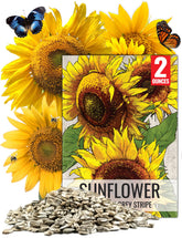 Seed Needs Mammoth Grey Stripe seed pack front, perfect for starting a dramatic tall sunflower border.