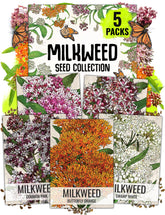 Seed Needs milkweed seeds showy packet art attracts pollinators and guides sowing.