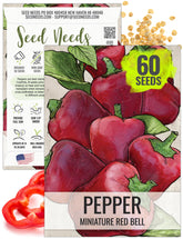 Seed Needs mini bell pepper seeds packet illustration for easy home gardening