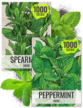 Seed Needs spearmint leaves close-up, showcasing fresh aroma for beverages and salads.