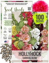 Seed Needs mixed carnival hollyhock seeds pack front with illustration for easy sowing.