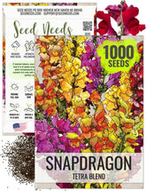 Seed Needs Mixed Tetra Snapdragon seeds pack for vibrant garden beds.