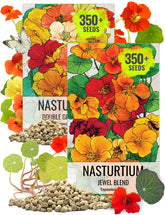 Seed Needs Jewel Blend nasturtium blooms brightening borders and inviting pollinators