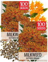 Seed Needs orange milkweed seeds packaging ready for sowing in monarch gardens.