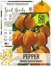 Seed Needs Orange Scotch Bonnet seeds pack for easy home-grown peppers with Caribbean flavor.