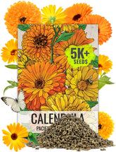 Seed Needs Pacific Beauty Mix blooms brighten beds with rich orange and yellow petals.