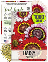 Seed Needs Painted Daisies with bi-colored petals brighten garden color.