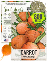 Seed Needs Paris Market carrot seed packet ready for sowing