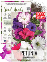 Seed Needs Petunia seeds in a dwarf mix for compact borders and hanging baskets