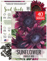 Seed Needs ProCut Red Sunflower seed pack showing burgundy blooms for striking arrangements.