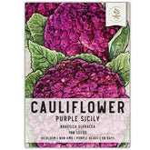 Seed Needs Purple of Sicily seed pack ready for home planting