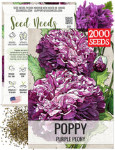 Seed Needs Purple Peony Poppies seed pack ready for garden sowing and pollinator attraction.