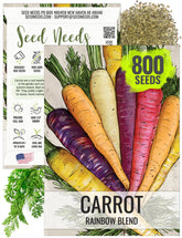 Seed Needs Rainbow Carrot orange roots: vibrant harvest for colorful salads and snacks.