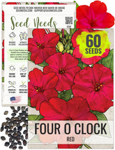 Seed Needs Red Four O'Clock seed packet illustration for vibrant borders.