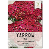 Seed Needs Red Yarrow seeds pack front showing vibrant crimson blooms and bold color