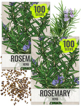 Seed Needs rosemary seeds front packet ready for planting indoors or outdoors