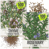 Seed Needs rosemary seeds pack ready for planting, ideal for fresh kitchen herbs.
