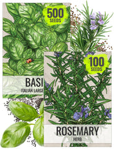 Seed Needs rosemary seeds packaging for easy indoor herb planning
