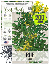 Seed Needs Rue seeds packaging with sowing instructions for confident planting