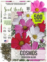 Seed Needs Sensation Cosmos color blooms brighten borders and inspire fresh cut flowers.